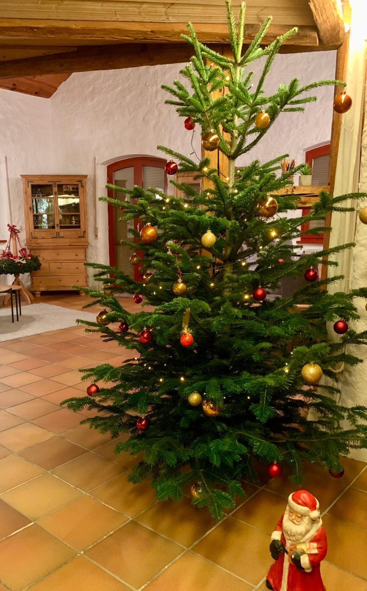 Altmuehl Familienvilla Treuchtlingen Buitenkant foto